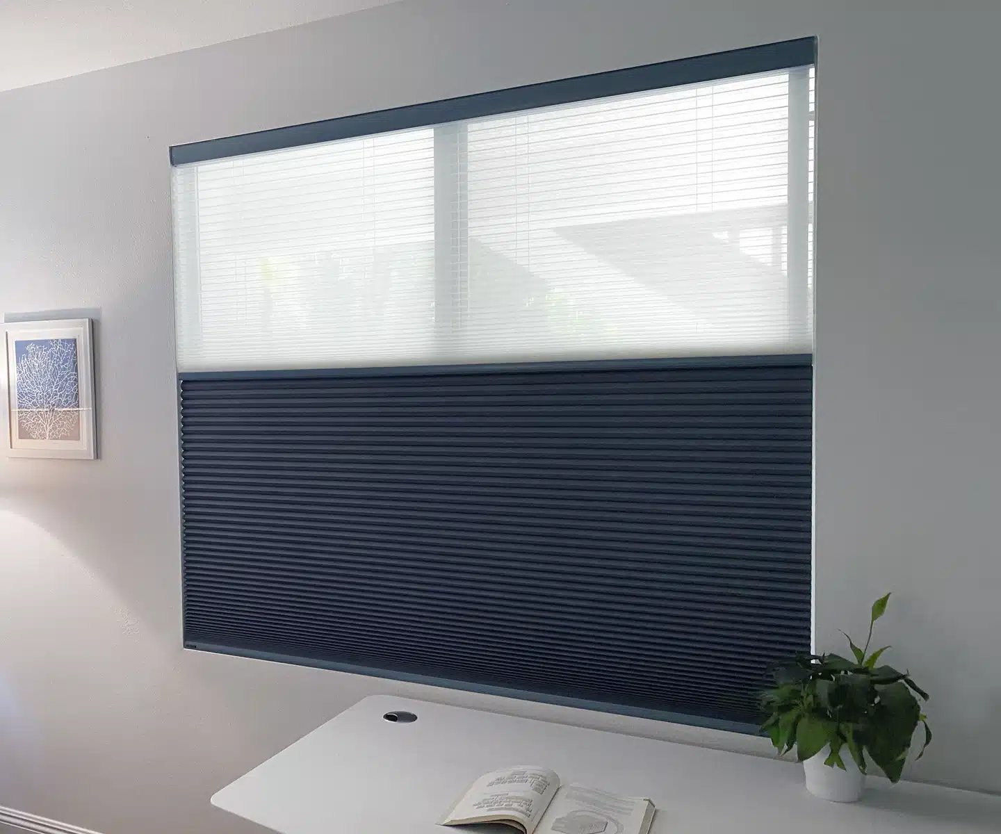 motorization honeycomb shades